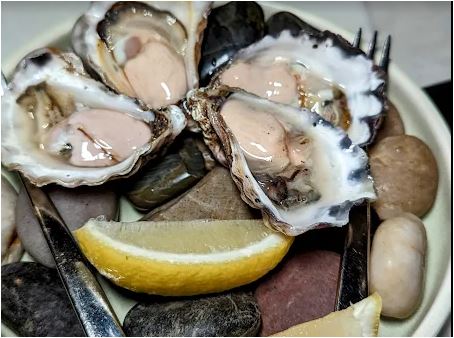 Oysters - doz